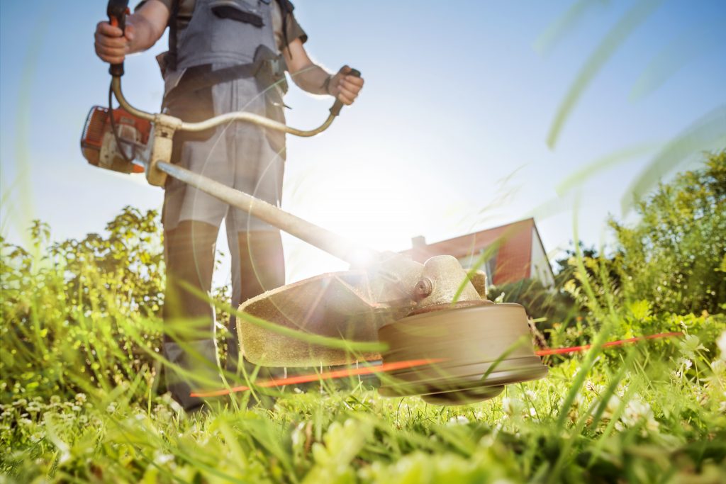 Gartenpflege